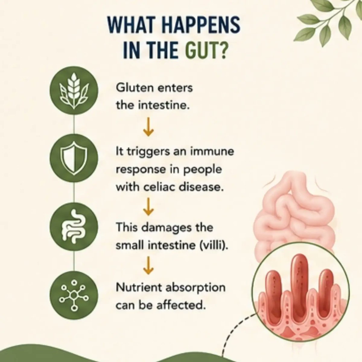DiamondHaeowu's tweet photo. Why can bread be harmless for some but harmful for others? In celiac disease, gluten triggers an immune response that can damage the small intestine. Genes raise risk, but don’t guarantee disease. Nutrition and gut health matter, too. Day 2 of 30 https://t.co/FI1D2bXi8f