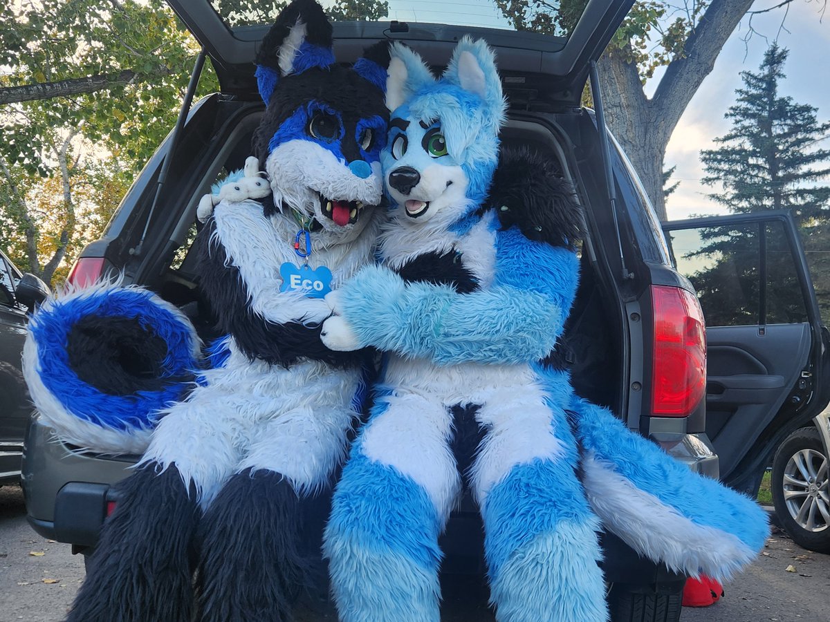 AuroraWusky69's tweet photo. When Im with my Sea Wolf the adventure itself becomes so much more magical 

Happy #fursuitFriday evreyone 💙 https://t.co/7M93OJd9JQ