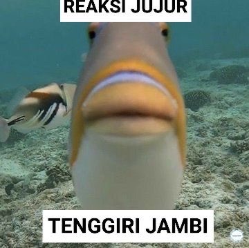 msspeony's tweet photo. @ini_ayye LU NYANG BENER AJE AH https://t.co/LTHrxXwNrY