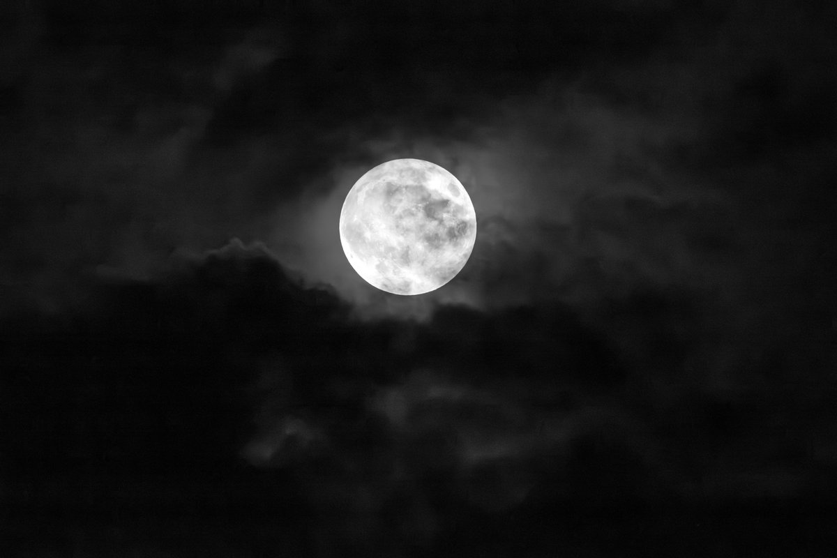 NASAArtemis's tweet photo. There’s a full Moon rising. 

The Harvest Moon is the full Moon that occurs closest to the fall equinox. This year, it's on Saturday, Sept. 26. 

As the Harvest Moon rises in the east shortly after sunset, Saturn will appear nearby.

Take a moment to look up and enjoy the view. https://t.co/1Zd49EqJaY