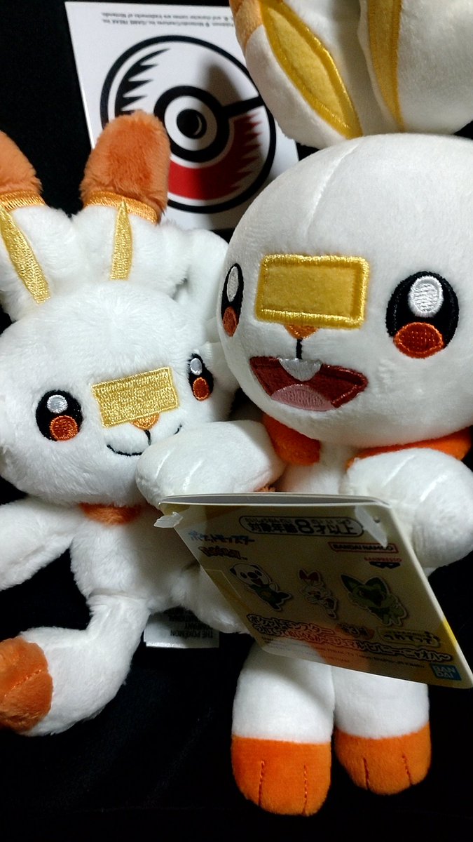 LostsanYade's tweet photo. これはてきちゃにポケモン交換しよ！ってヤドンと交換で貰ったヒバニー(左)と、僕が野生(ゲーセン)からゲットしたヒバニー
一緒に置いとこう https://t.co/6iKu2SIfju