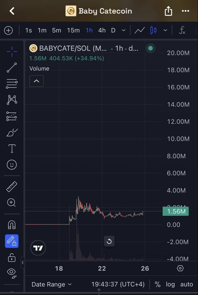 BraiantWiz's tweet photo. Whatever you're buying today ensure you don't fade $BABYCATE Team working hard and pushing. Currently sitting at 1.6M!! You're super early guys @BABYCATEOnPump https://t.co/MAY3QkdkKe