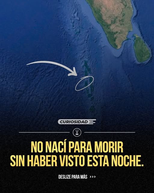 capitan_entrena's tweet photo. 16 Imágenes con un profundo significado:

1. https://t.co/ktjQFUYhEP