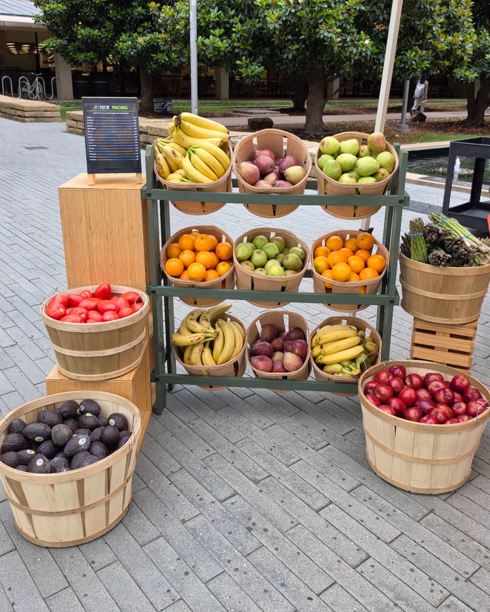 UTDallasDining's tweet photo. Our first Farmers Market of the semester is coming up this Tuesday, September 29, 2026 from 10:30am-2pm at The Plinth! 🍓🥕🥒 

Special menu: Bulgogi beef taco &amp; marinated mushroom taco. 🌮 https://t.co/k7fKp3p4Oo