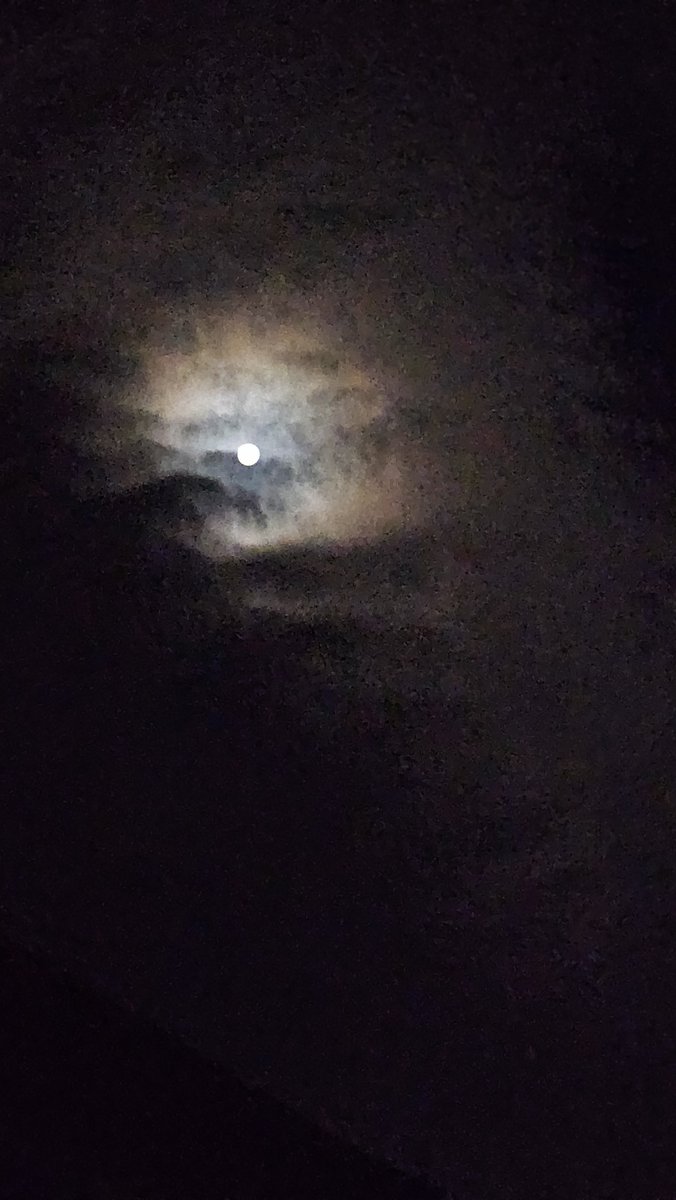bungonogin's tweet photo. 現在の時刻、お月さまが綺麗✨
雨よ、降らないで。。。

#豊後大友宗麟鉄砲隊
#ママ鉄砲隊員
#豊後の誾
#鉄砲隊の誾千代

そう、演武の前は
恒例の夜更かししてる。　
そろそろ寝なくては https://t.co/gnUR3TbDD1