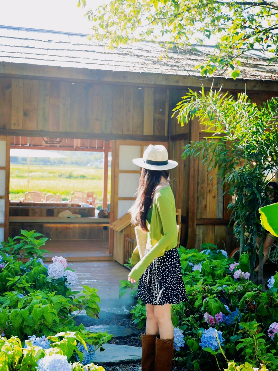 thi_khmsan's tweet photo. On a cozy rainy day, I tend to the kitchen wine cellar, carefully water the plants, and wait for my dear friend. https://t.co/ReoVQ916C0