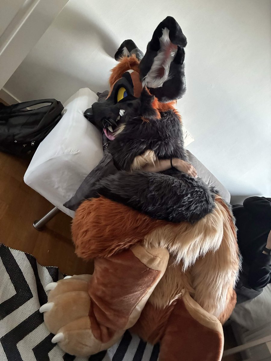 Flip_gshep's tweet photo. Fwomp

#furry #fursuit #fursona https://t.co/9E99kM4Gxh