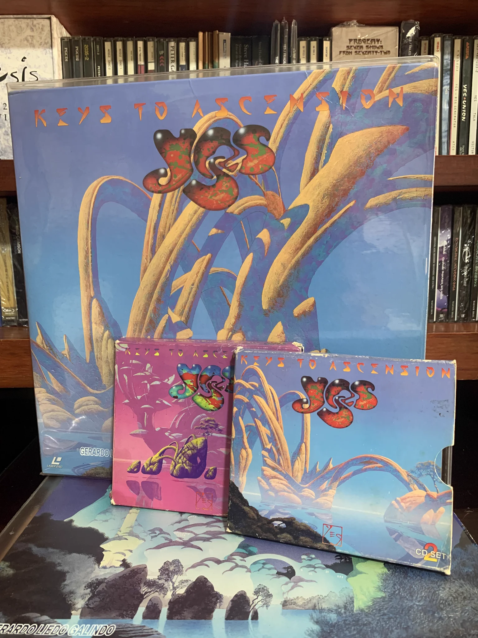 Voodoo Chile in Wonderland 🇪🇸🇲🇽 on X: "@yesofficial Guess what?" / X