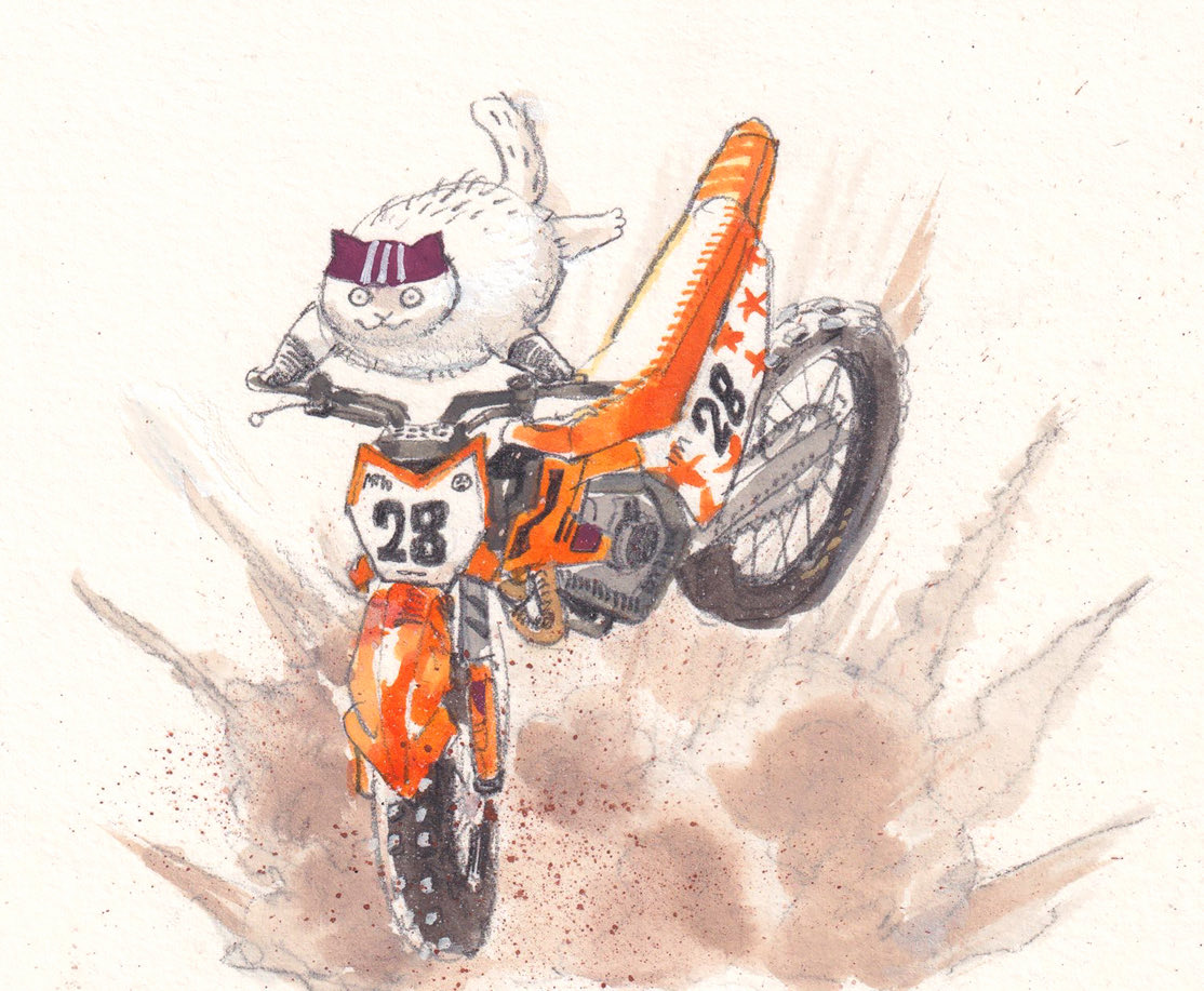 dawning_crow's tweet photo. Dirtbike blast cat https://t.co/mqtbqQ0dLX