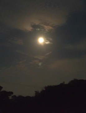 Image for the Tweet beginning: 夜中にしっぽり～🌃

中秋の名月
天気は下り傾向ということで雲が広がっていたんですが
ちょうど雲の切れ間ができて、
きれいな満月を拝むことができました～🌕🙏

肉眼ではもっと夜空と月のコントラストがはっきりしていて
とーっても素敵な十五夜となりました🎑

#デイトラ #デイトラコミュニティ 