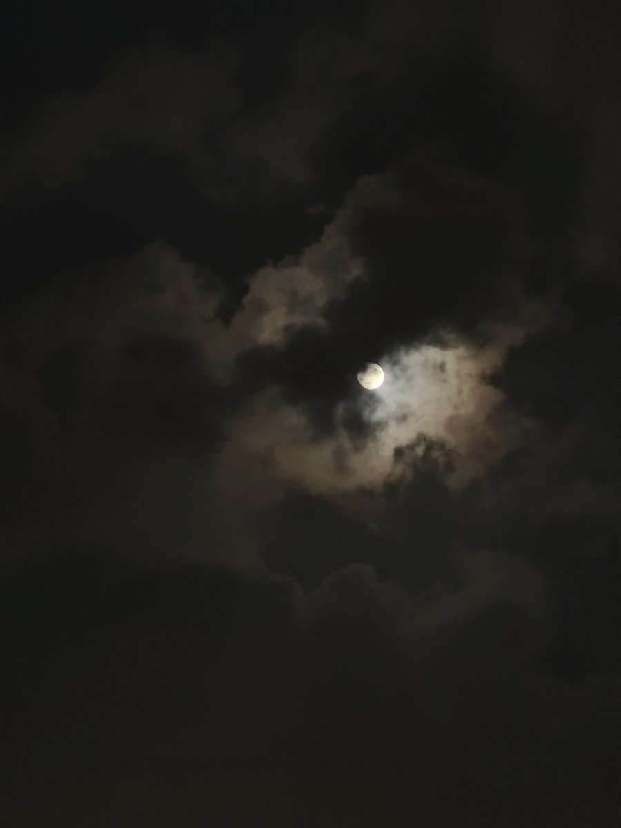 sabrr_shukarr's tweet photo. hello prettiness 🌙🥺♥️ https://t.co/AhQTmB4hEh