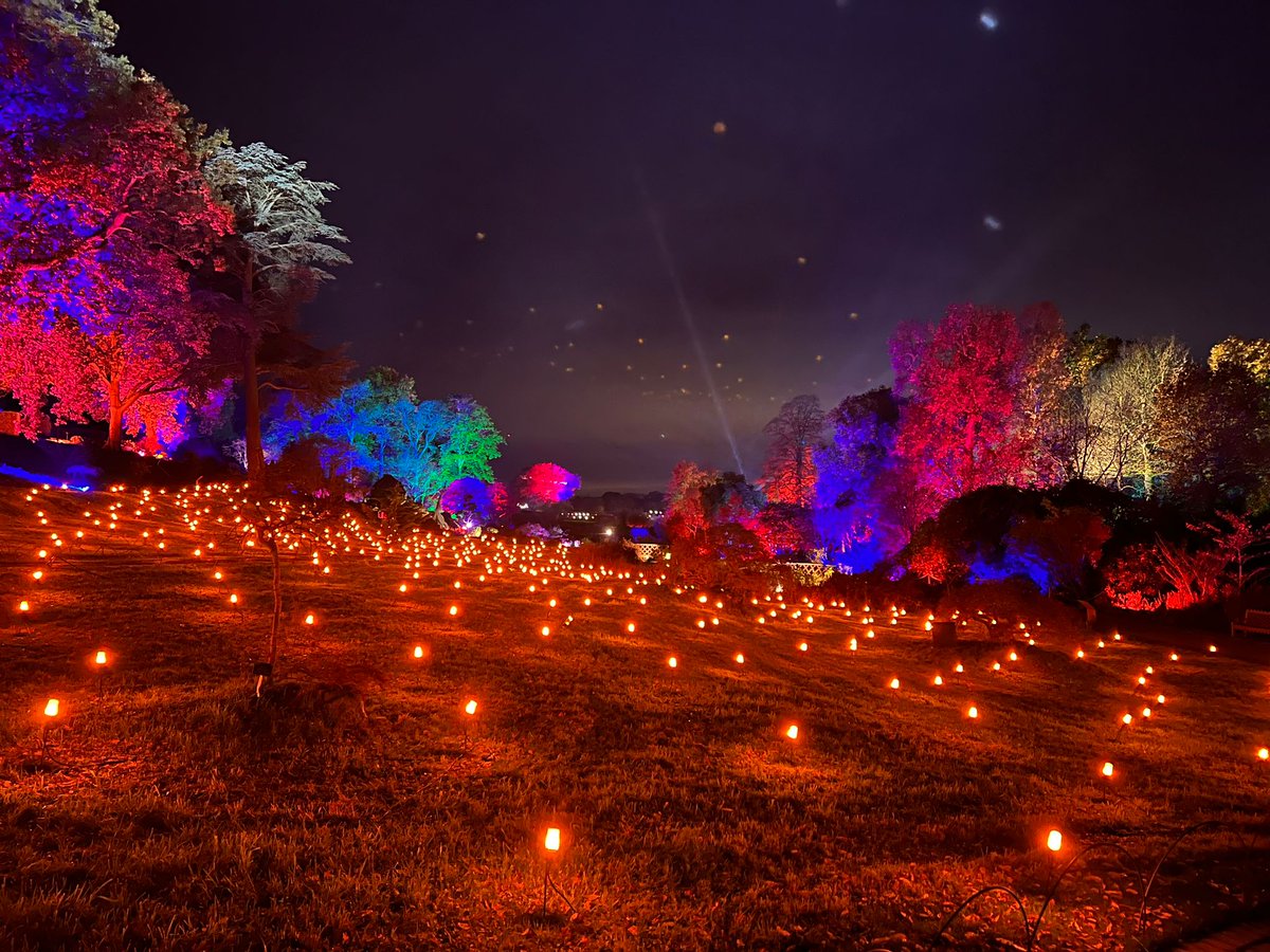 VisitLiverpool's tweet photo. Enchanted at Knowsley Safari is back! 🦁 ✨ 

Tickets are now on sale for their wildlife-inspired Christmas event which is more immersive than ever before. With a brand new light trail, magical winter village and lots more!

➡️ https://t.co/2AnQG9Pn9s https://t.co/sf3mbHD3d7