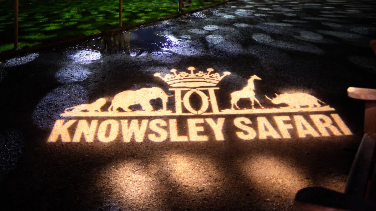 VisitLiverpool's tweet photo. Enchanted at Knowsley Safari is back! 🦁 ✨ 

Tickets are now on sale for their wildlife-inspired Christmas event which is more immersive than ever before. With a brand new light trail, magical winter village and lots more!

➡️ https://t.co/2AnQG9Pn9s https://t.co/sf3mbHD3d7