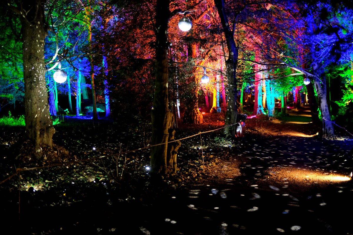 VisitLiverpool's tweet photo. Enchanted at Knowsley Safari is back! 🦁 ✨ 

Tickets are now on sale for their wildlife-inspired Christmas event which is more immersive than ever before. With a brand new light trail, magical winter village and lots more!

➡️ https://t.co/2AnQG9Pn9s https://t.co/sf3mbHD3d7