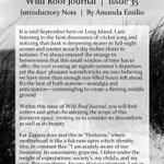 Photo by Wild Roof Journal (@wildroofjournal)