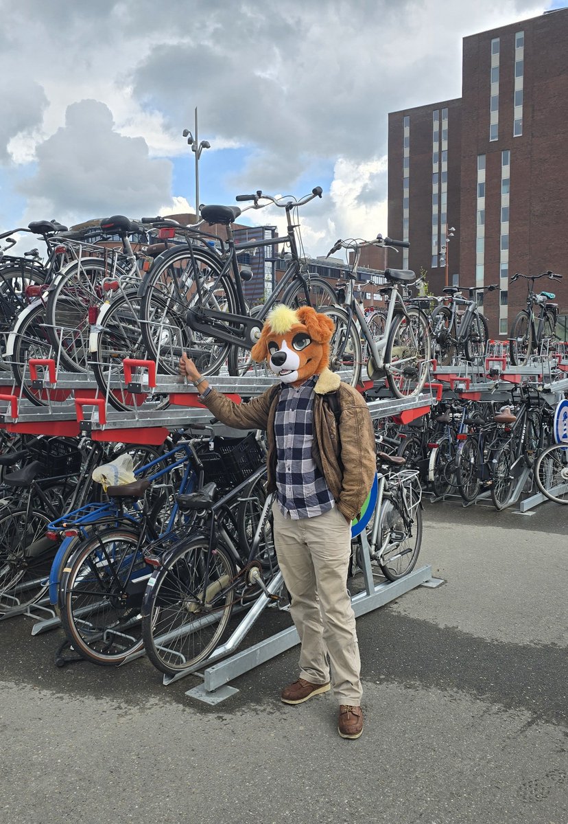 JanDeFloep's tweet photo. Oh hallo daar, don't mind me taking my bicycle down at the train station.

Fursuit by: @AlphaDogsStudio 
Photo by: @Gerryperiod 

#FursuitFriday https://t.co/ormUeOwRyJ