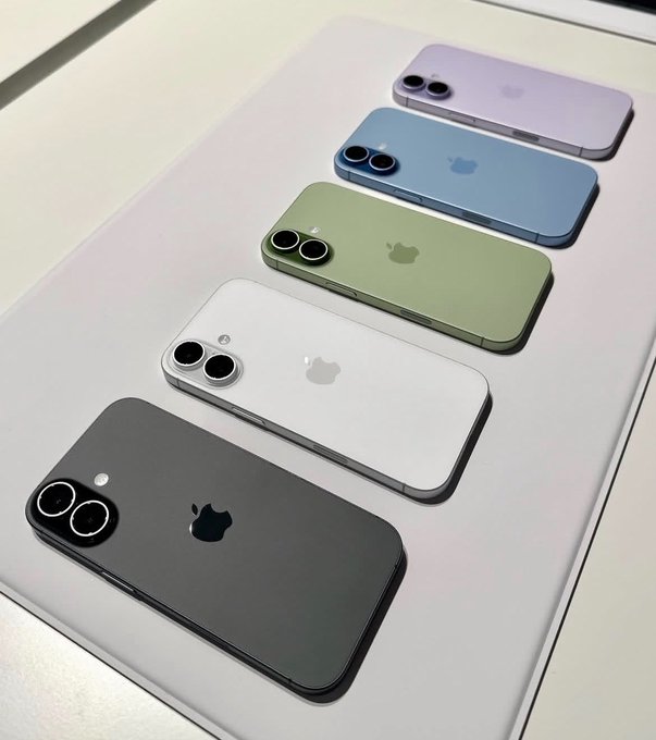 NatureOf_Peace's tweet photo. Before the year runs out, which color would you like to be gifted? https://t.co/A4SY9NK7lF