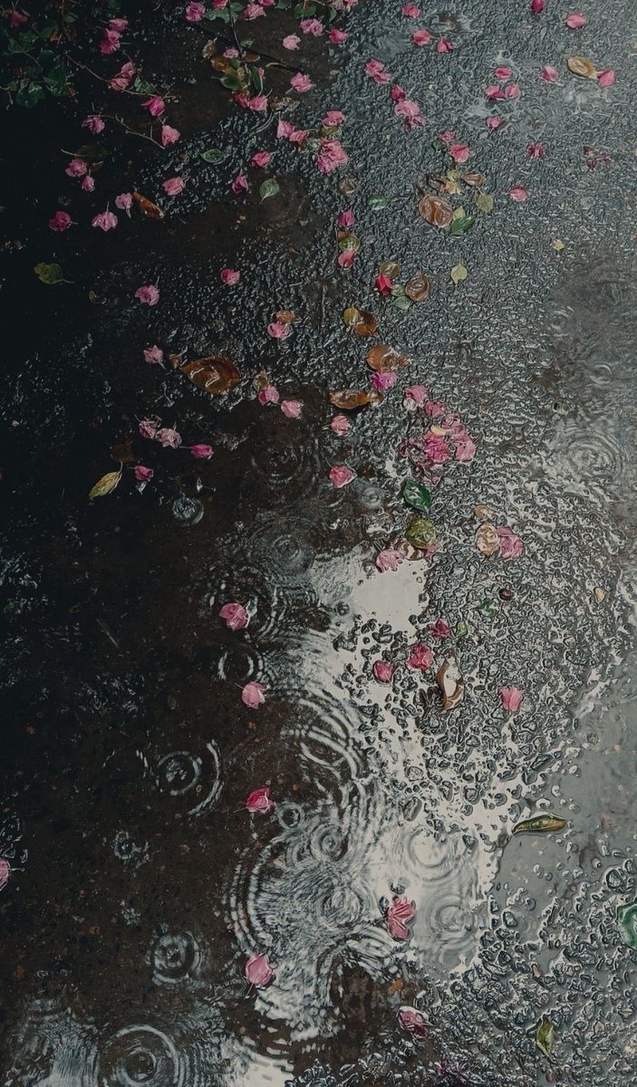 gloomyvisuaIs's tweet photo. raindrops. https://t.co/cobiHBgrhq