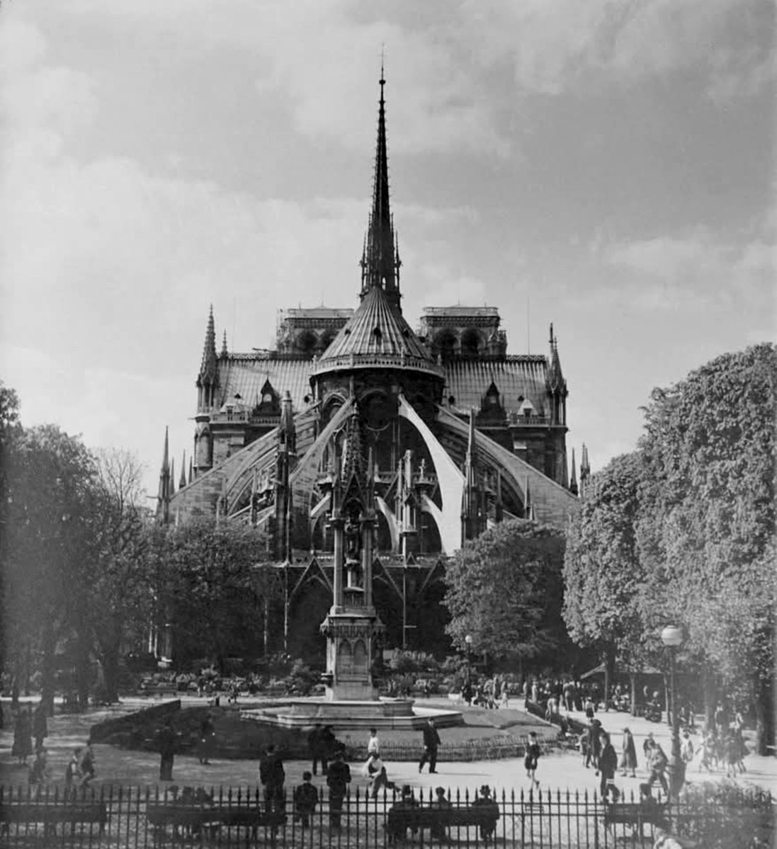 ParisAMDParis's tweet photo. 📸 Albert Monier. 
Le jardin de l'Archevêché au chevet de Notre-Dame de Paris 
1950. Île de la Cité https://t.co/NKusNCGkHf