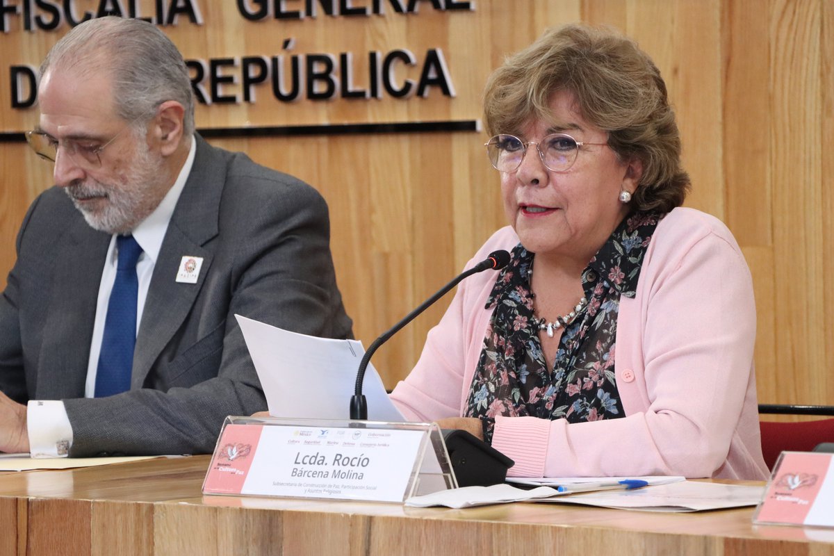 RocioBarcenaM's tweet photo. Fue un honor participar en el seminario “Seguridad Ciudadana, Procuración de Justicia y Cultura de Paz”, donde destacamos las acciones de la @SEGOB_mx en la estrategia de #AtenciónALasCausas. @Claudiashein @rosaicela_ @ErnestinaGodoy_ @FGRMexico @INACIPE @Luis_diazdeleon https://t.co/br2onIwJeq