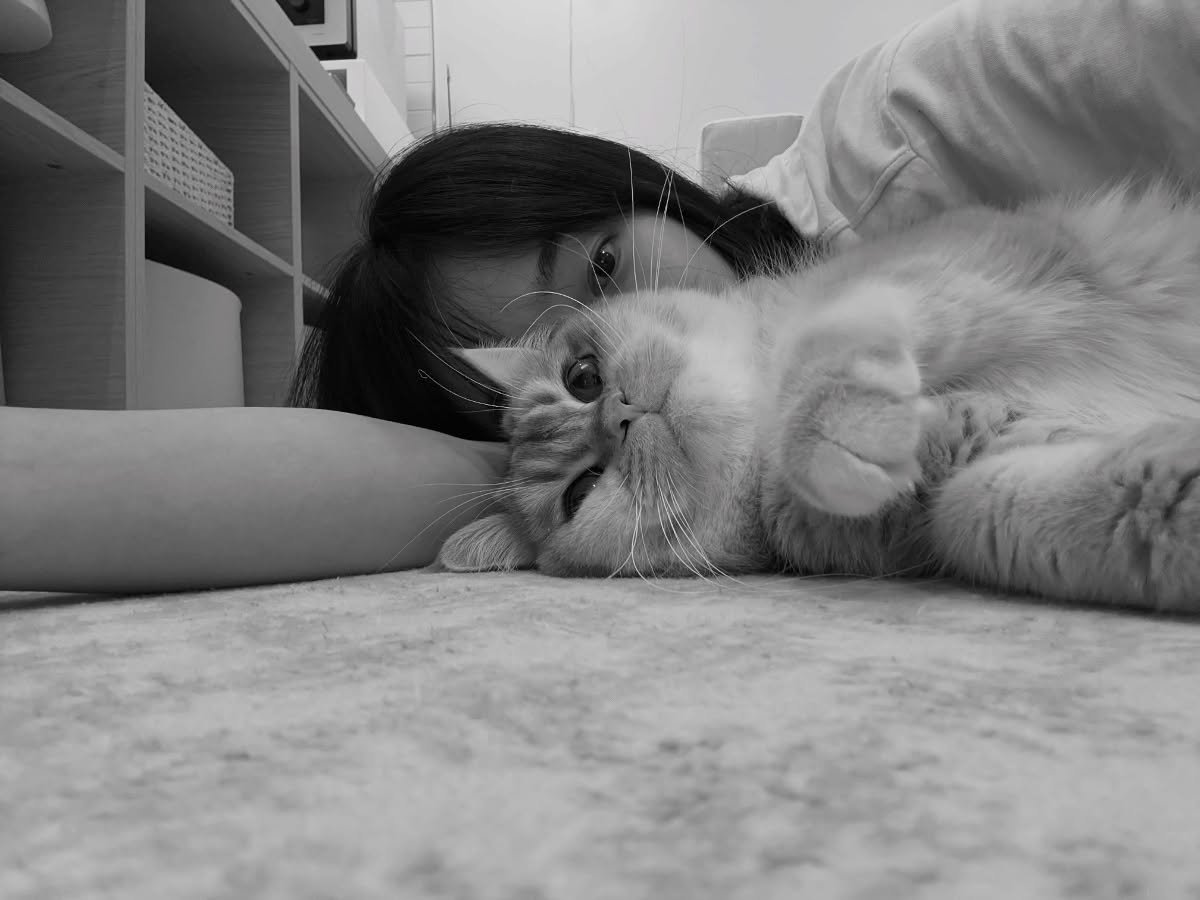 hyeppyjun's tweet photo. hyejun with dotori https://t.co/v4ts5Fem4B