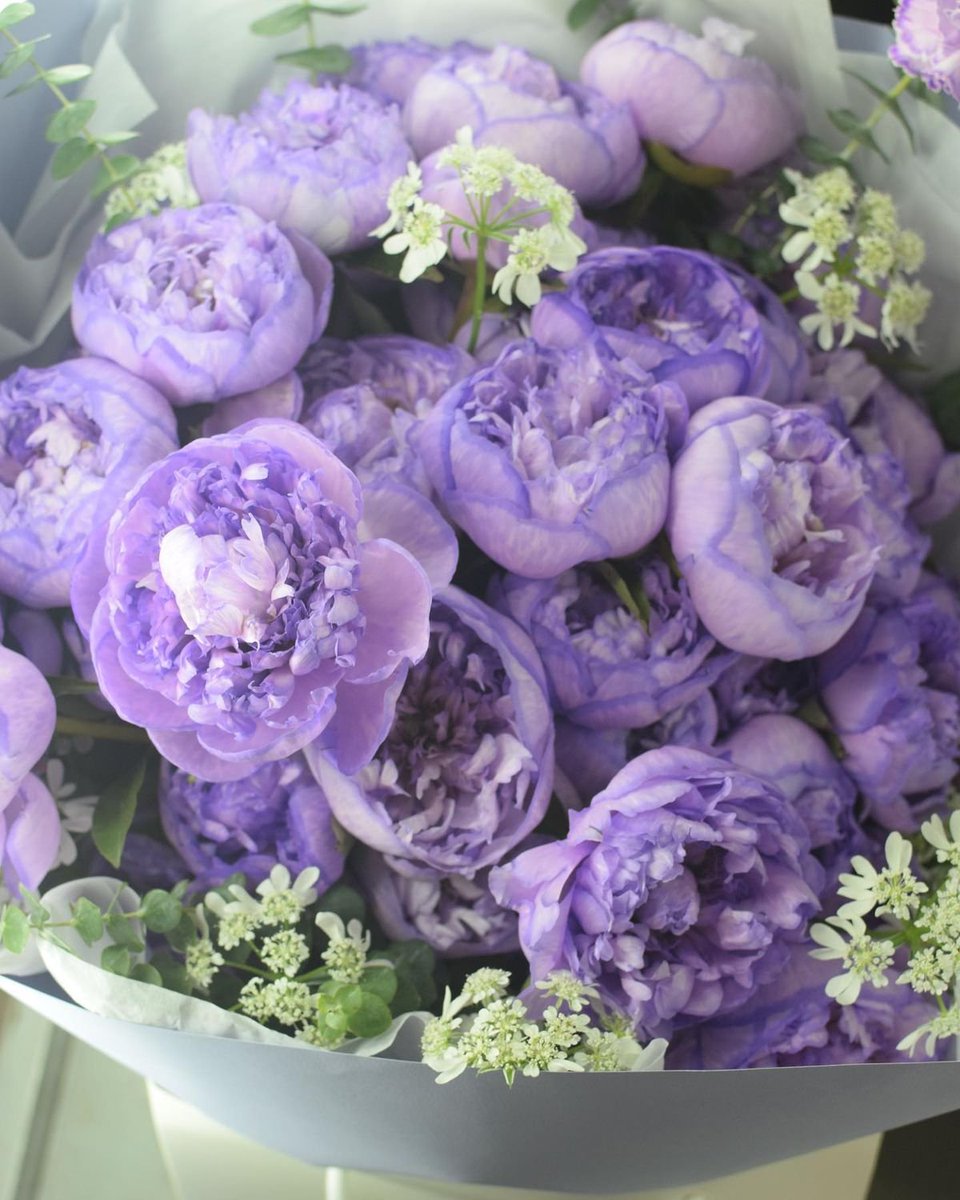 armyflowershop's tweet photo. 💜🌺💜🌟💜🌺💜🌟💜🌺💜🌟
             𝐹𝓁𝑜𝓌𝑒𝓇 𝒟𝑒𝓁𝒾𝓋𝑒𝓇𝓎

𝐹𝑜𝓇: @Nik_usrnme_illa

𝐹𝓇𝑜𝓂: Amy kuttan

𝑀𝑒𝓈𝓈𝒶𝑔𝑒: Chechi kutta,
NJN ara enn manasilayo🫣.Ee flower nale chechikk nalla oru luck kondu varatte.

💜🌺💜🌟💜🌺💜🌟💜🌺💜🌟 https://t.co/qziVf8Ul09