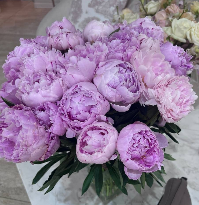 armyflowershop's tweet photo. 💜🌺💜🌟💜🌺💜🌟💜🌺💜🌟
             𝐹𝓁𝑜𝓌𝑒𝓇 𝒟𝑒𝓁𝒾𝓋𝑒𝓇𝓎

𝐹𝑜𝓇: @Nik_usrnme_illa

𝐹𝓇𝑜𝓂: Amy kuttan

𝑀𝑒𝓈𝓈𝒶𝑔𝑒: Chechi kutta,
NJN ara enn manasilayo🫣.Ee flower nale chechikk nalla oru luck kondu varatte.

💜🌺💜🌟💜🌺💜🌟💜🌺💜🌟 https://t.co/qziVf8Ul09