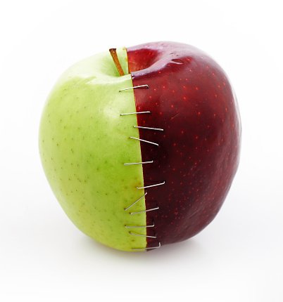 amagunimoon's tweet photo. ABA, my frankenapple https://t.co/GA34bLpq4J