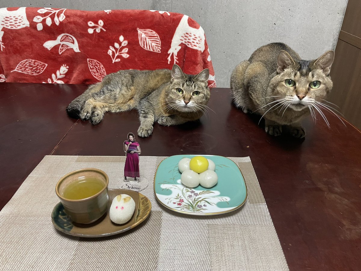 bulan_nyan's tweet photo. 日付は変わってしまいましたが、サインしたり女子高生にメイクを教えたり、VIVANTがお休みでも可愛くて素敵な珠城さんに会える日々💕（VIVANTではまだ素敵な廣瀬別班員にお会いできていませんが…😅）
今夜は十五夜🎑お月見を楽しみます。（月より団子🍡ですが😂）
珠城さん、今夜は月がきれいですね❣️ https://t.co/fxyzbIGgmi