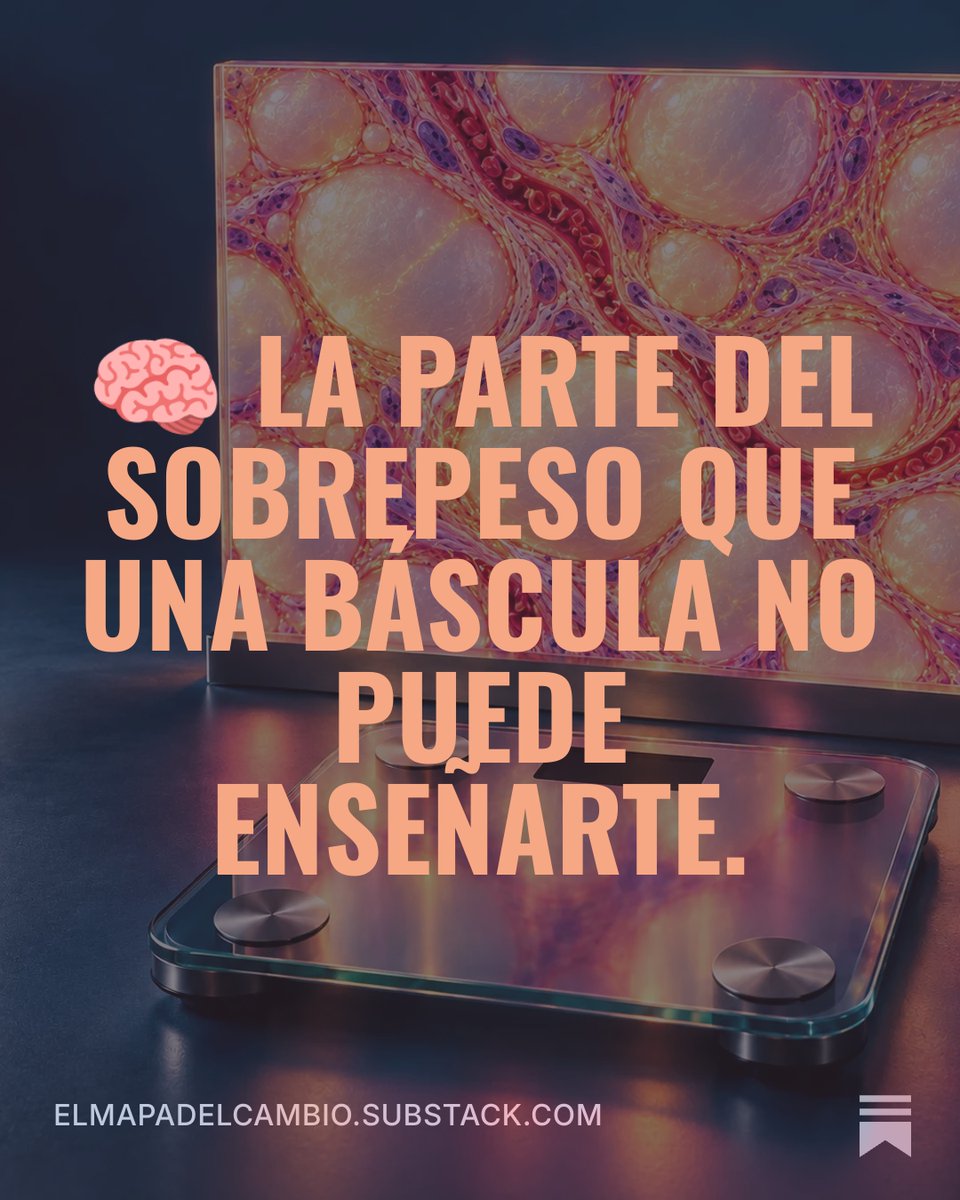 elmapadelcambio's tweet photo. La grasa corporal almacena energía y también libera moléculas que influyen en otros tejidos. 
Pensarla como una despensa deja fuera esa comunicación. 
Publicada la newsletter de esta semana sobre esa parte de la historia. 
Si no estás en la lista, a qué estás esperando? https://t.co/9LCfnsB1cm