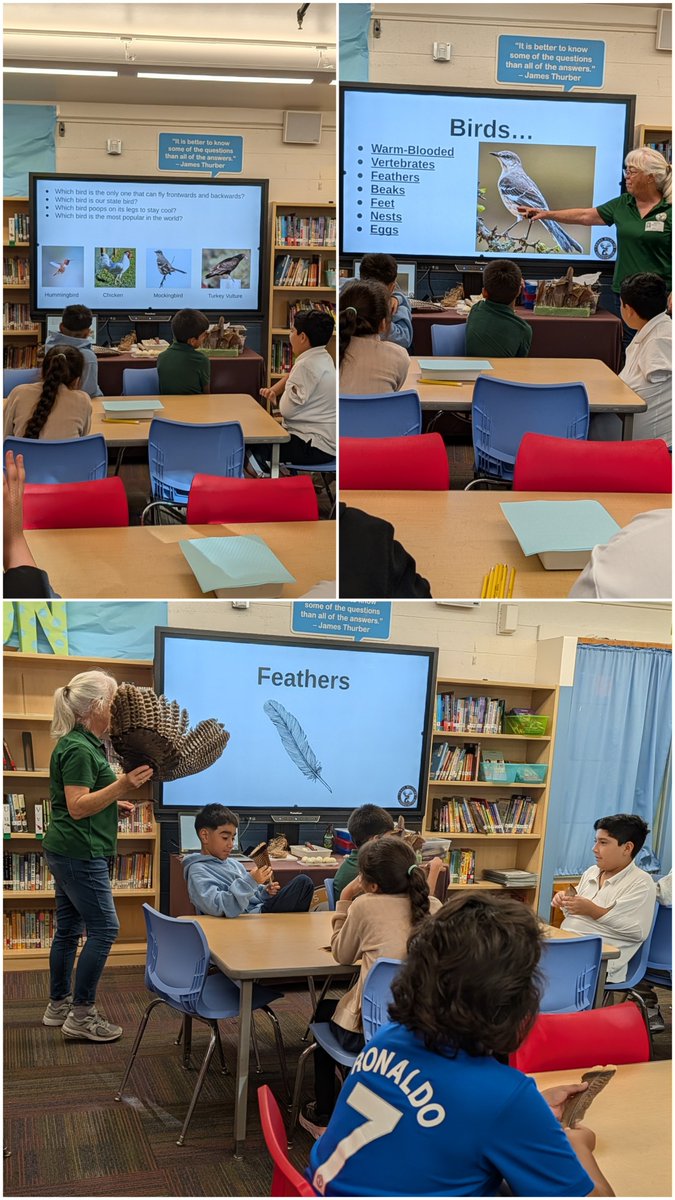 MsPatelLibrary's tweet photo. Our students' learning took flight during the Birds of a Feather presentation by @texaswildlife. 🪶 They explored habitats, feathers, researched birds, and even measured wingspans. What a soaring adventure! 🦅 @DISD_Libraries @mr_marketAP @bafeederpattern https://t.co/oV1jAIwZWn