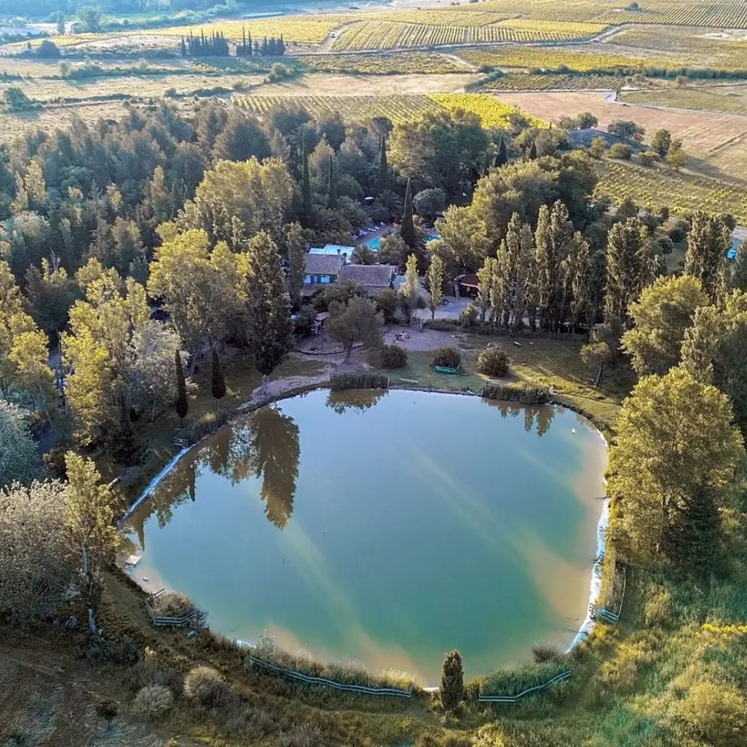 pitchup's tweet photo. A campsite surrounded by 40,000 trees is already doing a pretty good job of selling itself. 🌳
Add a fishing lake, swimming pool, restaurant, nearby wineries and #Tuchan village a 10-minute walk away…
Camping La Peiriere has entered the chat. 🍷
https://t.co/dYHNIYwGT1 https://t.co/1Fx6stlCON