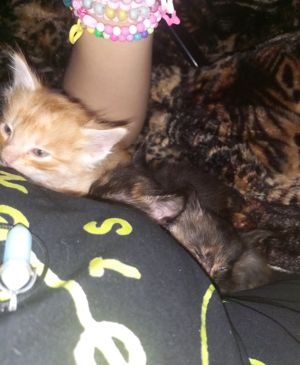 ratoremin's tweet photo. i need to take a shower but.... i don't know if the kids agree with that https://t.co/ST1DYp803S