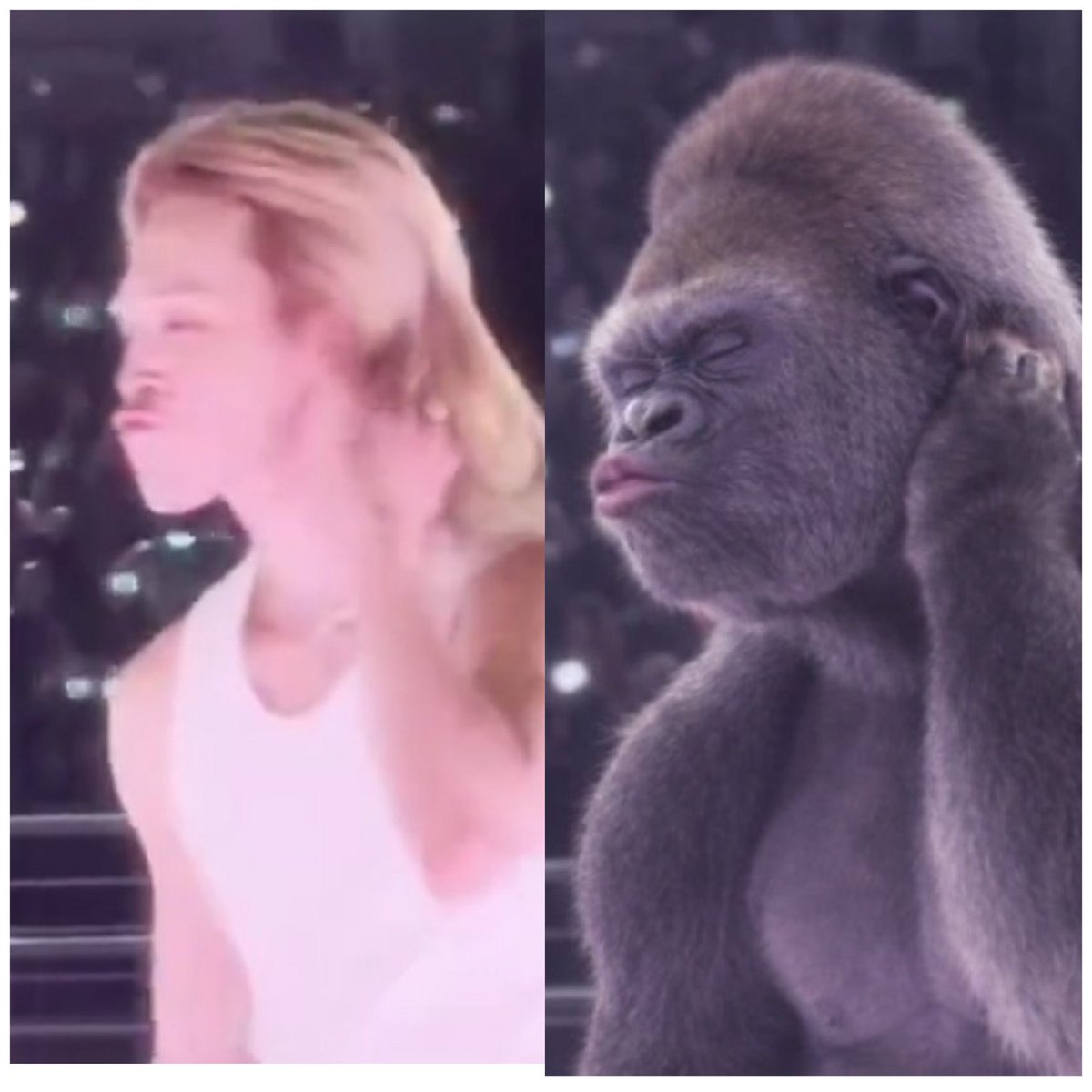 luvjkck's tweet photo. Who made this ???? 😭😂😭😂 https://t.co/r3rNh0xRhM