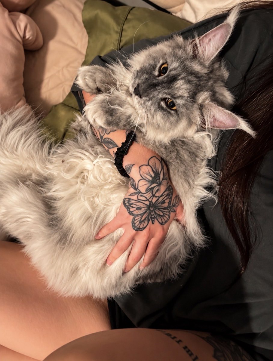 Kittykatttt0304's tweet photo. Cuddle boy😋 https://t.co/usRATcLHIV