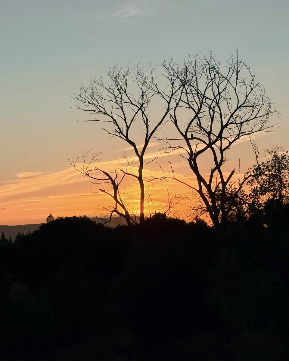 JeneKappelyv's tweet photo. Another spectacular sunset masterpiece. Sometimes you have to climb a little higher to take it all in. August 21, 2026. https://t.co/2Zfwspxo8i