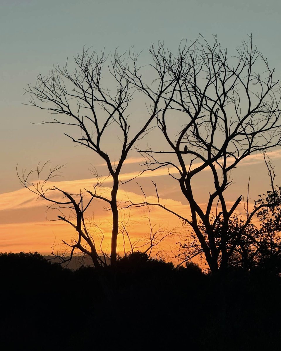 JeneKappelyv's tweet photo. Another spectacular sunset masterpiece. Sometimes you have to climb a little higher to take it all in. August 21, 2026. https://t.co/2Zfwspxo8i
