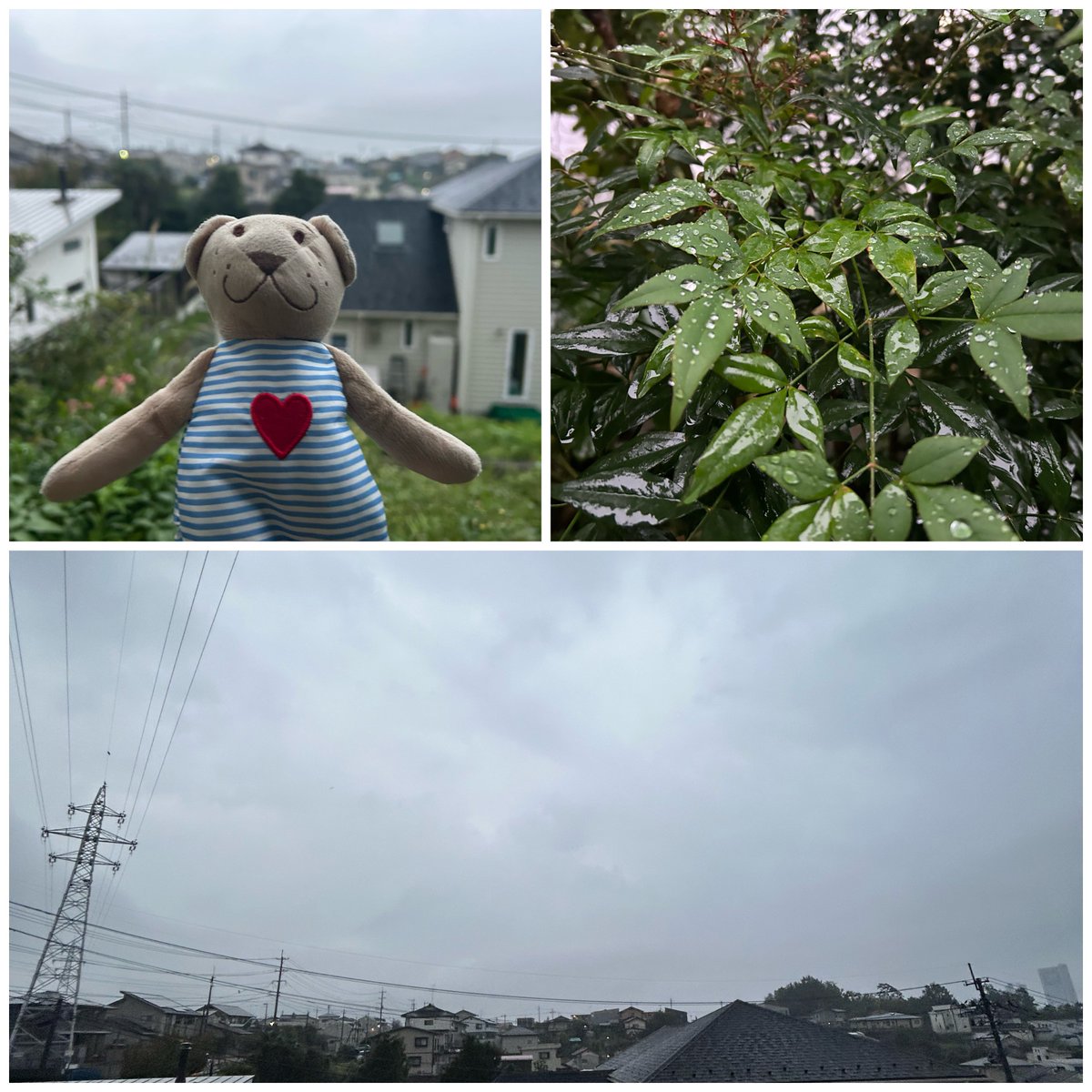 mediataka's tweet photo. (｡･･)ﾉぉはょぅ♪さんです
2026.09.26
福島県郡山市のそら
雨が降ってます( ͜☔️ ･ω･) ͜☔️
只今の気温 17 ℃
一日中雨なの☔️？クマ(๑･㉨･๑)
本日も宜しくお願いします🐴💕
#空ネット #シェア天 https://t.co/yu9eFkL3Y2
