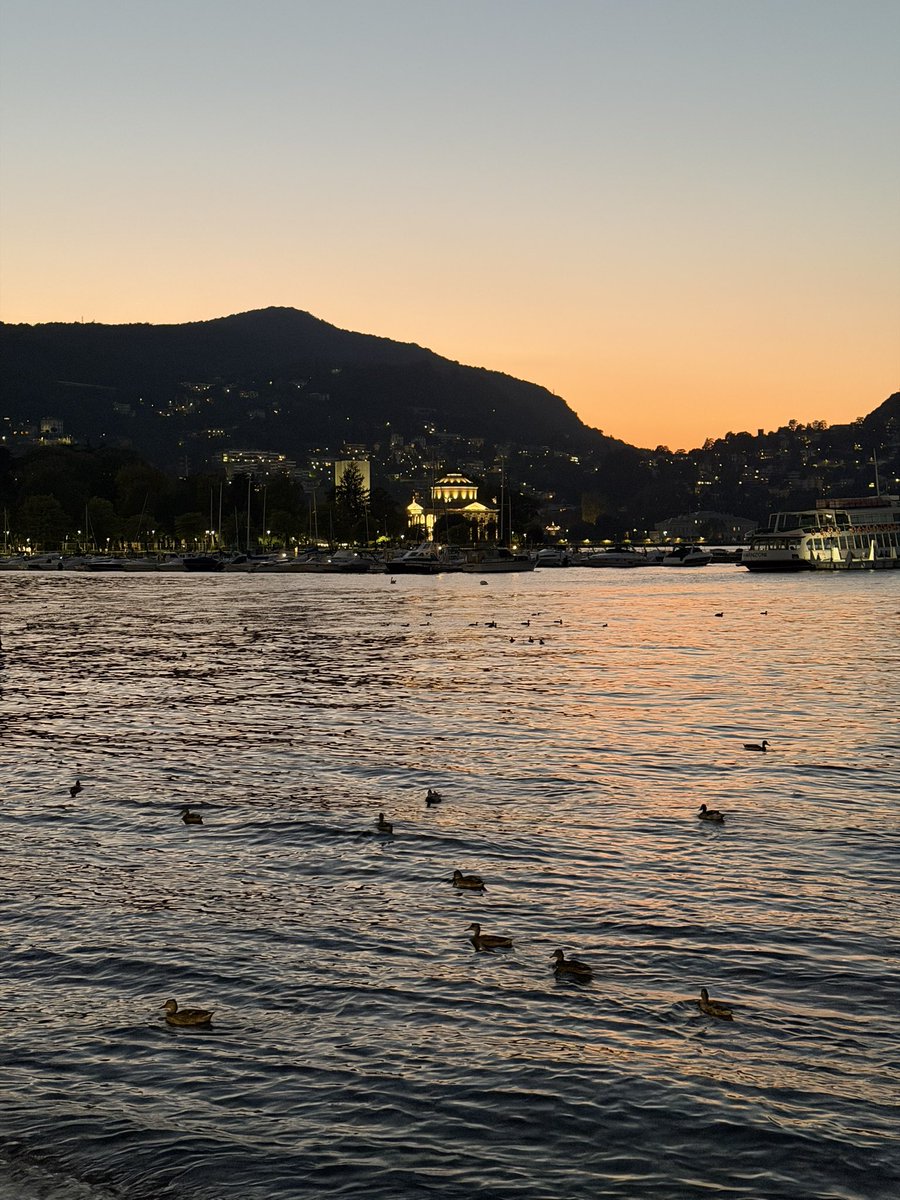 _2aol's tweet photo. Sep 2026
🇮🇹 https://t.co/loEDCYfOxO