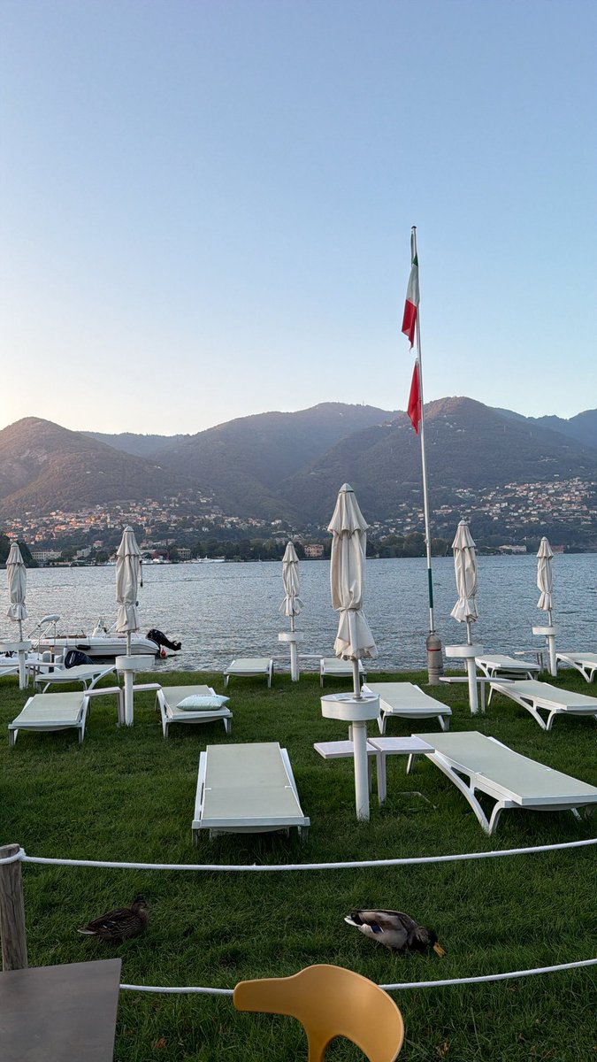 _2aol's tweet photo. Sep 2026
🇮🇹 https://t.co/loEDCYfOxO