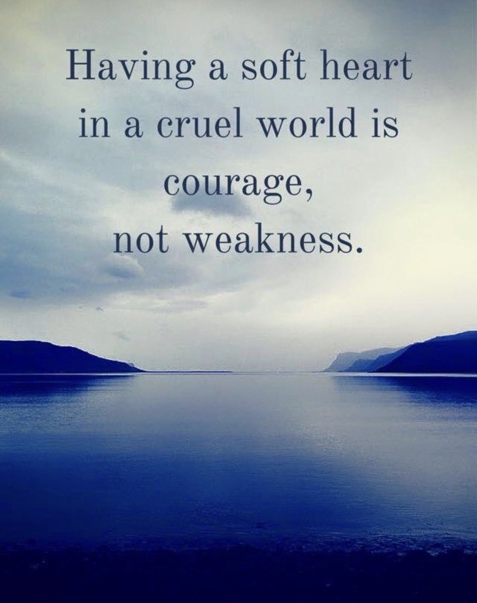 mindfulheal's tweet photo. Tremendous courage ✨ https://t.co/a5G2M58fz5