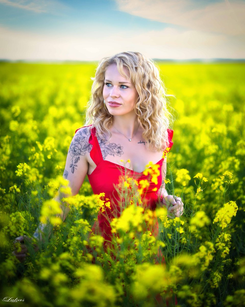 HaileyBenkitt's tweet photo. Golden fields, happy girl—soaking up the sun in a sea of yellow. Frühlingsgefühle and pure joy. https://t.co/FfPWwEousZ