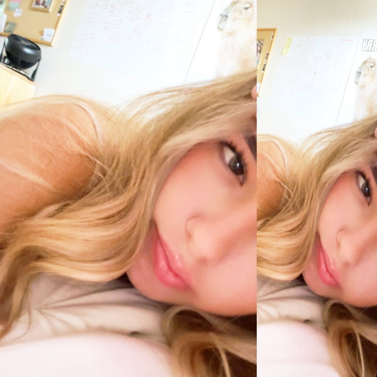 pukeonthestereo's tweet photo. does this count as a face reveal . . .  #blondeagain https://t.co/X9ywho5hk0