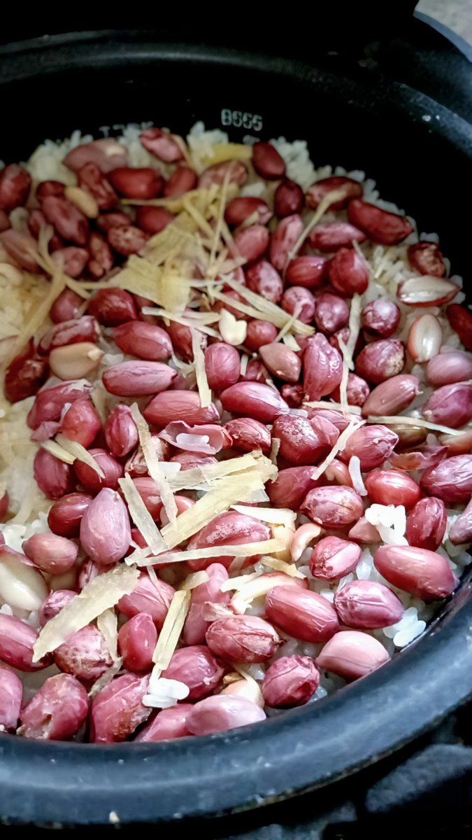 megfish60's tweet photo. 落花生の炊き込みご飯
収穫の秋、塩茹でした落花生の油分と旨みを吸ったご飯うまぁ https://t.co/tJ27Kv0IV4