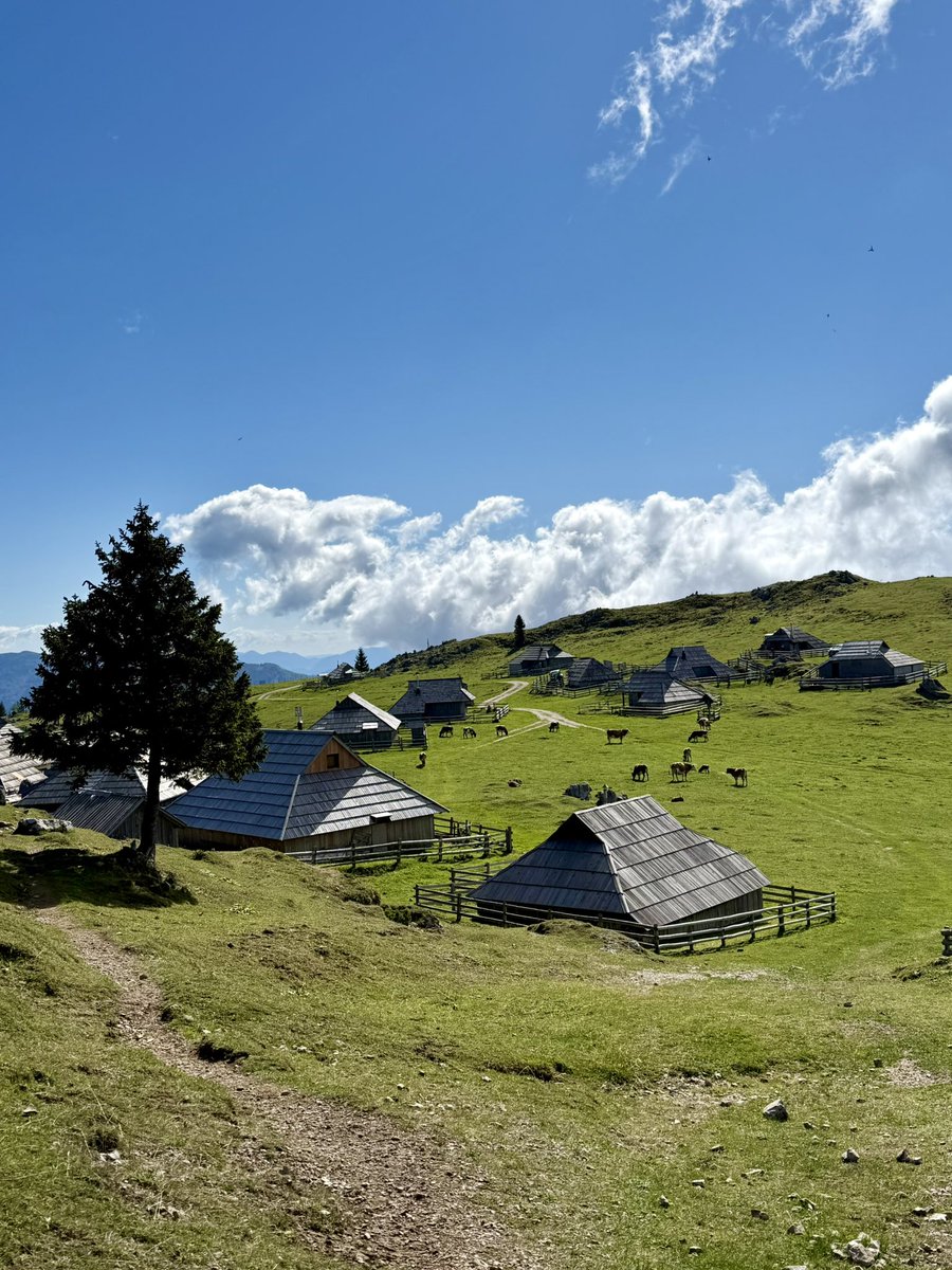 ExploringSlo's tweet photo. Velika Planina is a vast Alpine pasture home to one of Europe’s last traditional high-mountain shepherds’ villages, where dairy products are still made using centuries-old traditions.
Join our guided 11-km loop to explore the pastures and traditional huts!https://t.co/XFjZXUffw8 https://t.co/UqMIEAYEJ2