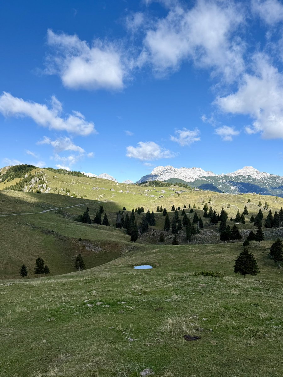 ExploringSlo's tweet photo. Velika Planina is a vast Alpine pasture home to one of Europe’s last traditional high-mountain shepherds’ villages, where dairy products are still made using centuries-old traditions.
Join our guided 11-km loop to explore the pastures and traditional huts!https://t.co/XFjZXUffw8 https://t.co/UqMIEAYEJ2