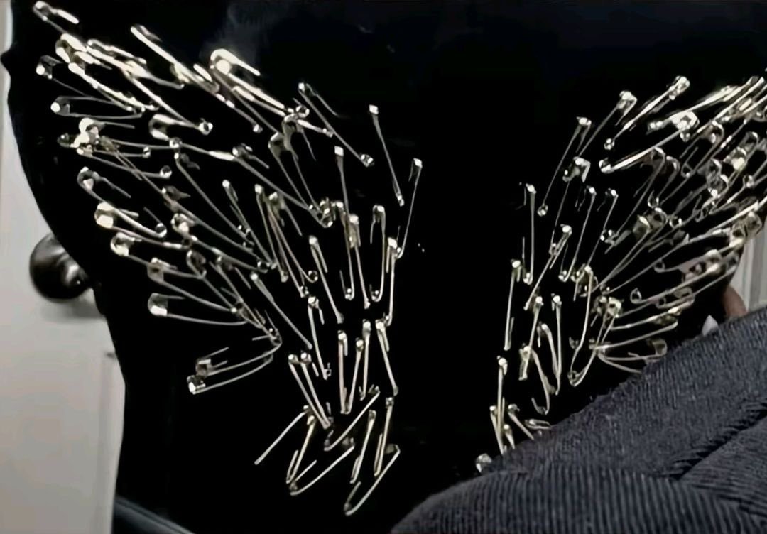sophiaevaa_'s tweet photo. safety pin wing https://t.co/EeL05tKlWr