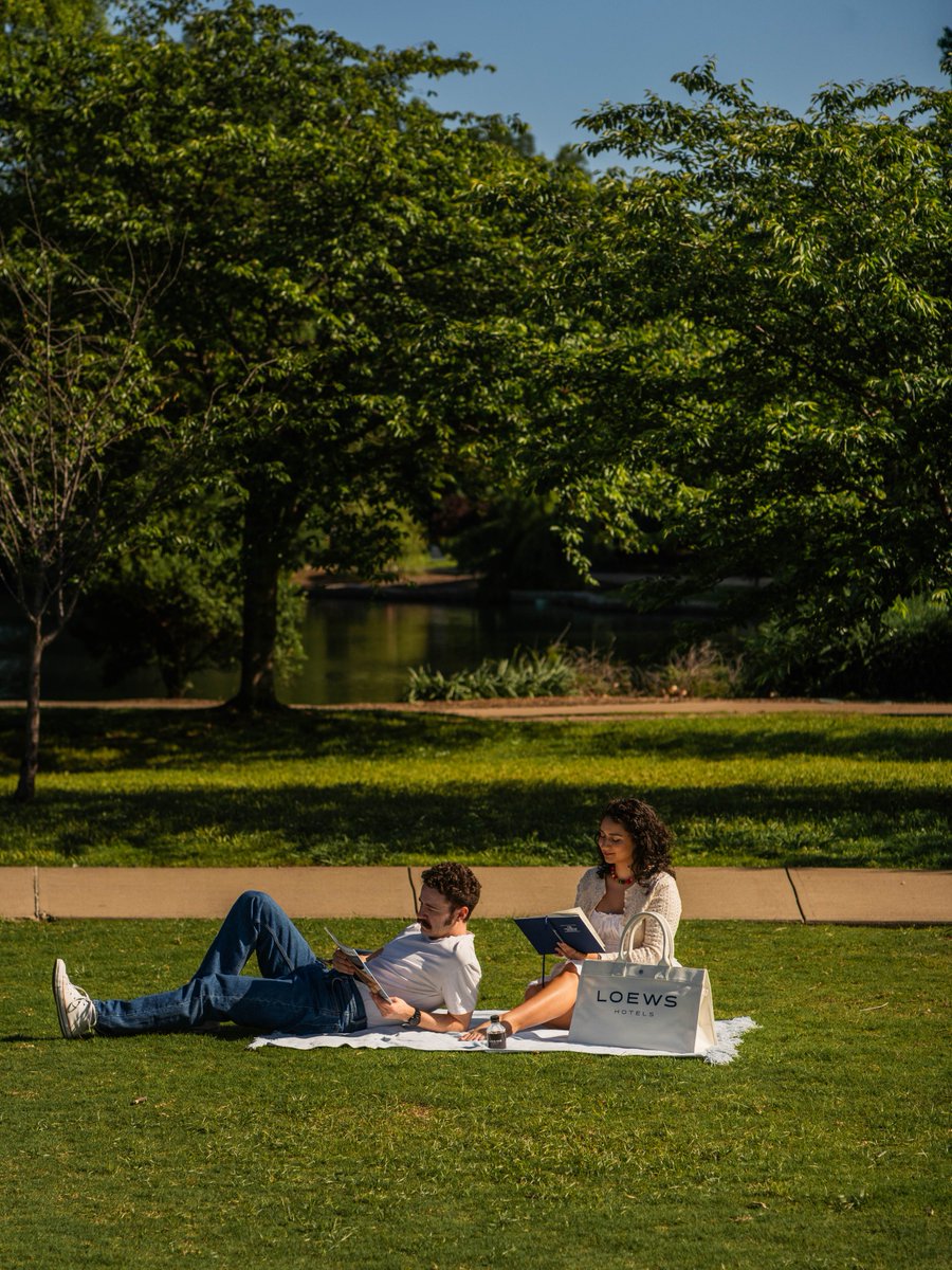 Loews_Hotels's tweet photo. Make the most of this beautiful weather: gather friends, bring your best bites, and soak up the sun at the park. 🍂✨ #FallPicnic #ParkDay #LoewsHotels https://t.co/6JHdX3PNP8 https://t.co/qQcR7XPEwf