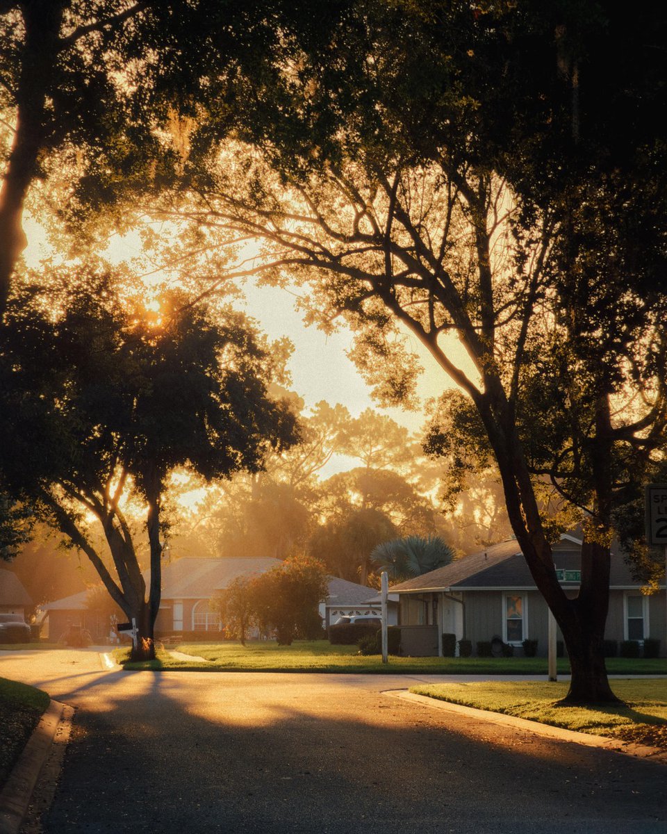TaishaRolic9's tweet photo. Shots of the week with @mood. camera. app. Find each photographer’s settings in their tagged profiles, plus more presets and inspiration from @mood. camera. presets. https://t.co/XIGz9kWdg1