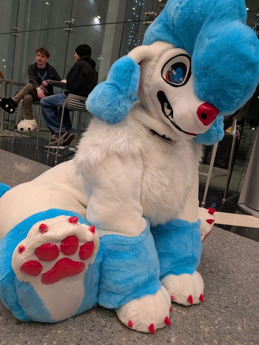 StoofStudios's tweet photo. Con crunched Stoof the poodle!! Who got to run around ASC this past weekend (granted with generous application of carpet protectors for all that white fur). 

Would love to make more quadsuit/crawling quads ❤️🐩 https://t.co/iOmuehxWaH